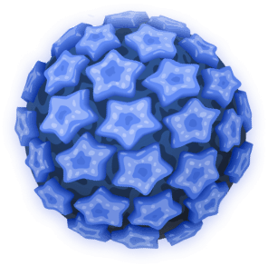 Virus image